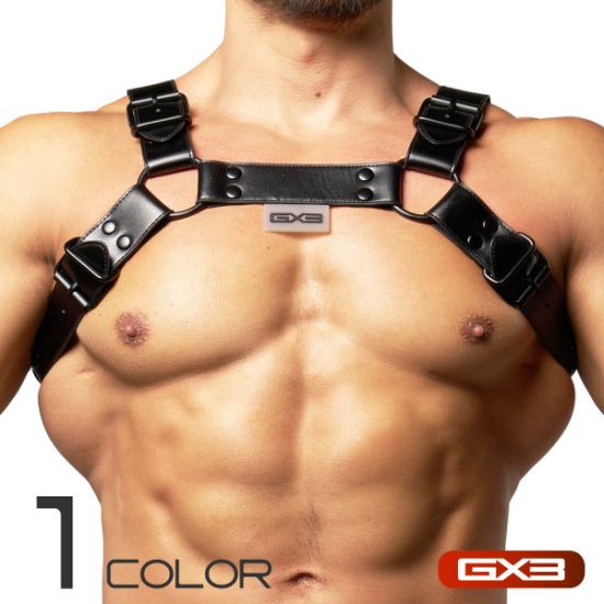 Special GX3 ICON BLACK HARNESS