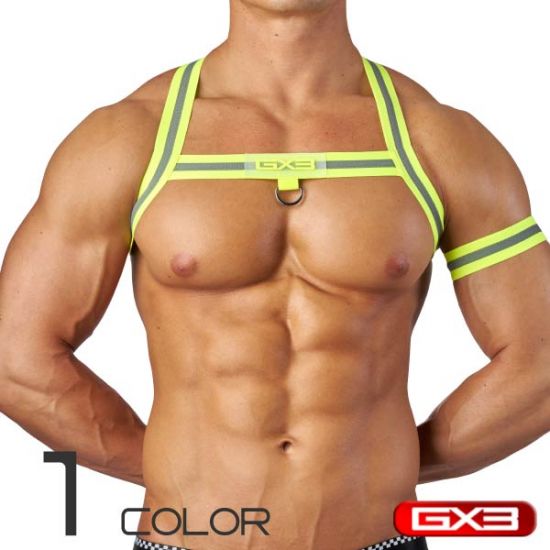 Special GX3 PROFESSION HARNESS